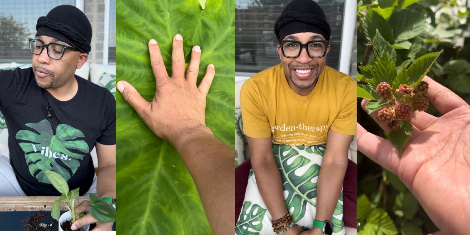 Developing Your Plant Intuition: The Journey to your EarthySoul