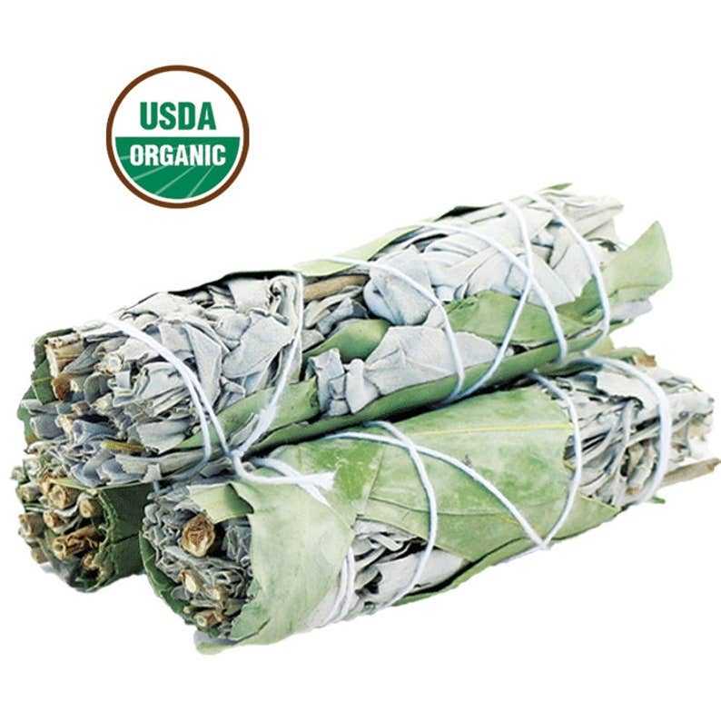 White Sage &amp; Eucalyptus Smudge Stick (4 in.)