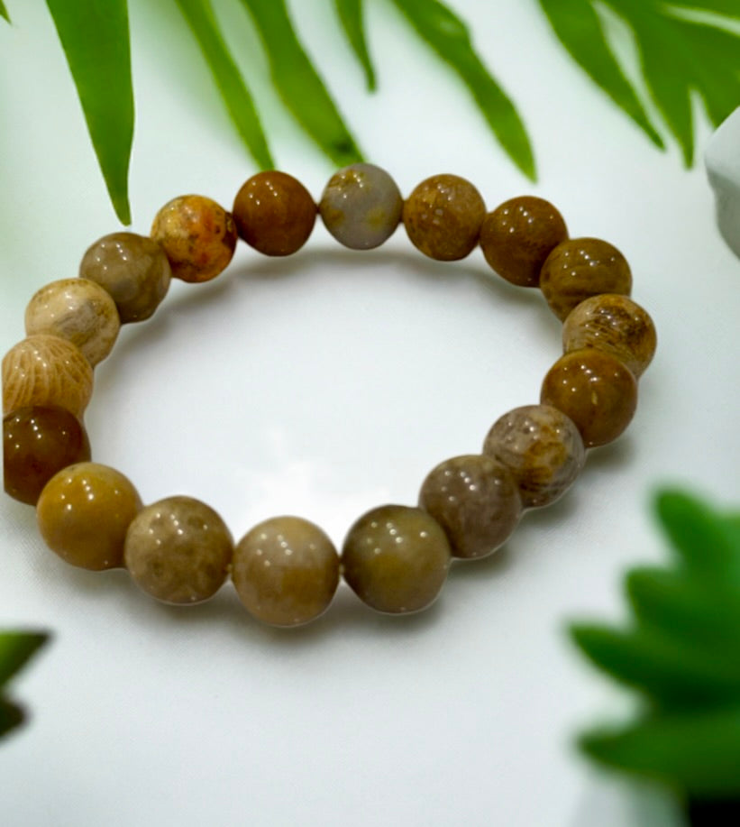 Natural Chrysanthemum Agate (Flower stone) Bracelet