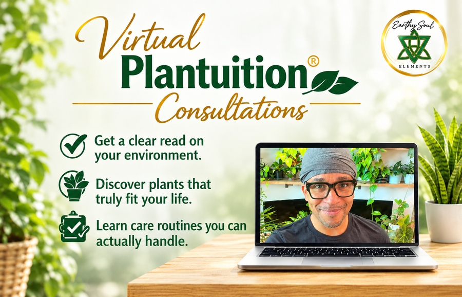 Virtual plant consulting