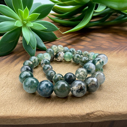 Forest Pulse